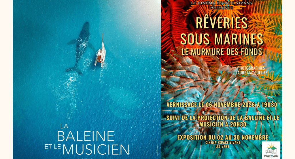 actualité REVERIES SOUS MARINES